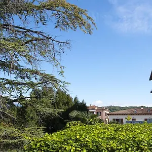 Dama 2 Bardolino